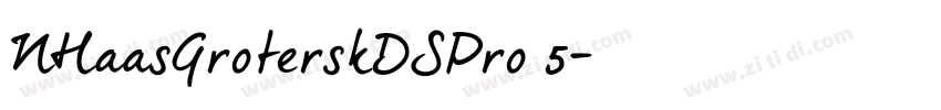 NHaasGroterskDSPro 5字体转换